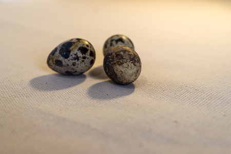 Three quail eggs on linen fabric tablecloth in warm colors. The side light. Side view on the level of sight.の写真素材