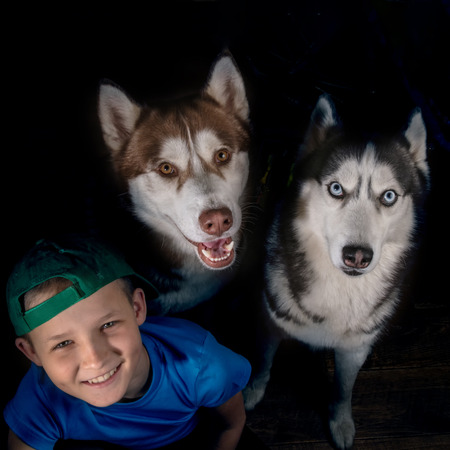 Top view portrait smiling boy with two husky dogs on dark background. Happy child and Siberian Husky sit together and look at camera.の写真素材