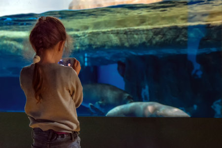 Cute little girl takes pictures on cell phone seals floating in the aquarium. Portrait of a girl with a pigtail, rear view. Copy space.の写真素材