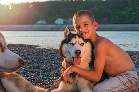 Portrait boy (8 years) hugging beautiful Siberian husky. Child hugs husky dog on summer evening beach. Friends in warm rays setting sun.の写真素材