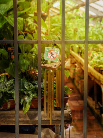 Security metal grating and forbidding sign at the entrance to the greenhouse with rare plantsの写真素材