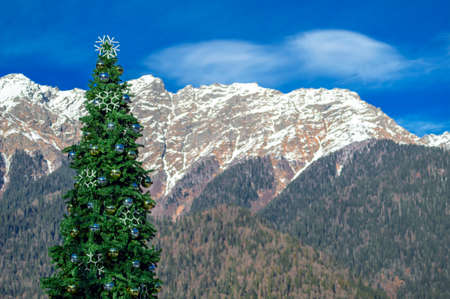 New Years Christmas tree on the background of snow-capped mountains on a sunny winter day.の写真素材