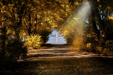 Autumn landscape with yacht in the sea surrounded by tree branches. Path bathed in the sun rays among dense thickets. Arch of tree branches should be path to the sea.の写真素材