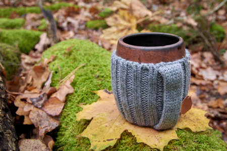 Clay mug in woolen knitted cover. Steam from the mug on the background of autumn forest and sunlight, close up.の写真素材