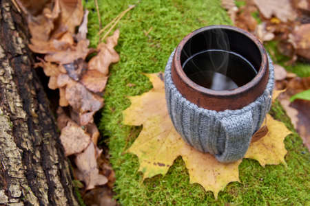 Clay mug in woolen knitted cover. Steam from the mug on the background of sunny autumn forest and sunlight, top view.の写真素材