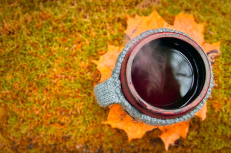 Clay mug in woolen knitted cover. Steam from the mug on the golden background of autumn forestの写真素材