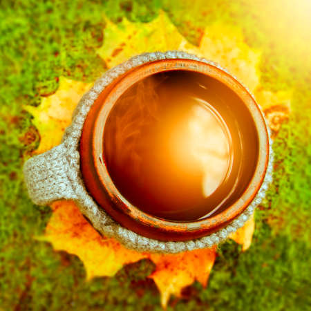 Clay mug in woolen knitted cover on the moss. Steam from the mug on the golden background of autumn sunny forestの写真素材