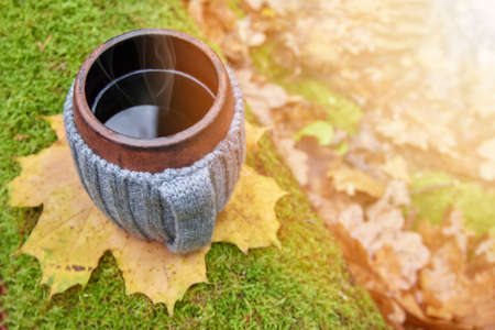 Clay mug in woolen knitted cover on the moss. Steam from the mug on the golden background of autumn sunny forestの写真素材
