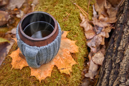 Clay mug in woolen knitted cover. Steam from the mug on the background of autumn forest, top view.の写真素材