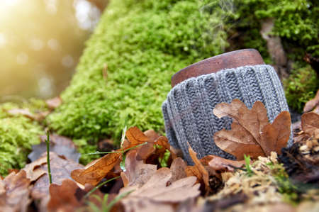 Clay mug in woolen cover stands in the autumn foliage in sunny forest. Background of green mossの写真素材