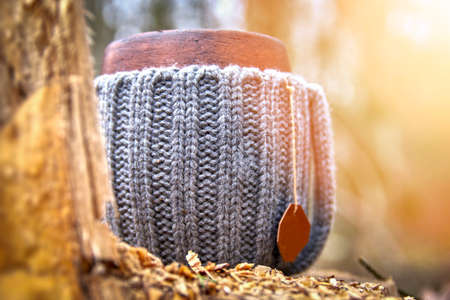 Clay mug in woolen knitted cover. Steam from the mug on the background of autumn forest and sunlight, close up.の写真素材