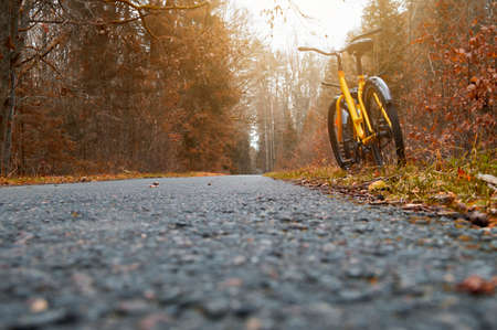 Path for bicycles in the autumn park. Yellow bike stands on the side of a bike path in the autumn forest.の写真素材