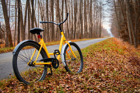 Bike line on the road in the autumn park. Yellow bike stands on the side of a bike path in the autumn forestの写真素材