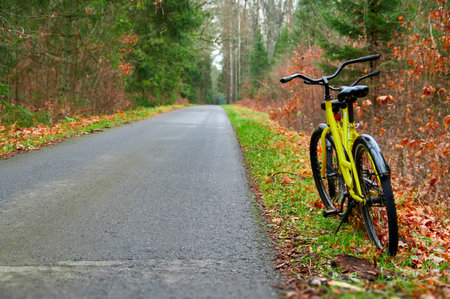 Bike line on the road in the autumn park. Yellow bike stands on the side of a bike path in the autumn forestの写真素材
