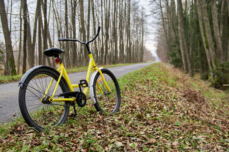 Bike line on the road in the autumn park. Yellow bike stands on the side of a bike path in the autumn forest.の写真素材