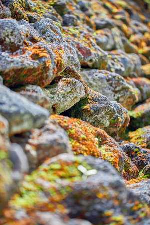 Masonry, selective focus. A wall of old muddy rough stones in the sunlight.の写真素材