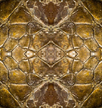 leather background