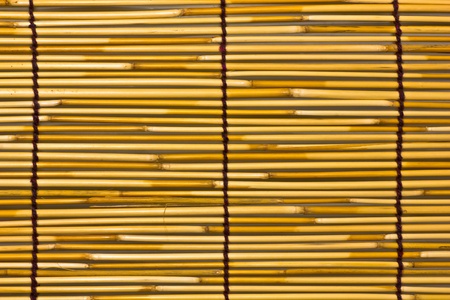 Bamboo backgroundの写真素材