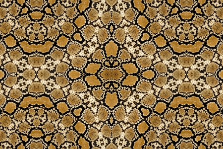 Snake leather の写真素材