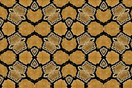 Snake leather の写真素材