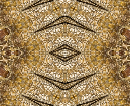 leather backgroundの写真素材