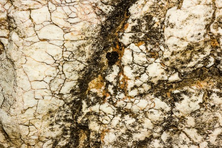 marble surface texture for backgroundの写真素材