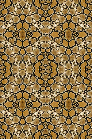 Snake leather.の写真素材