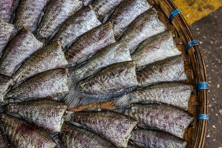 dried fishの写真素材