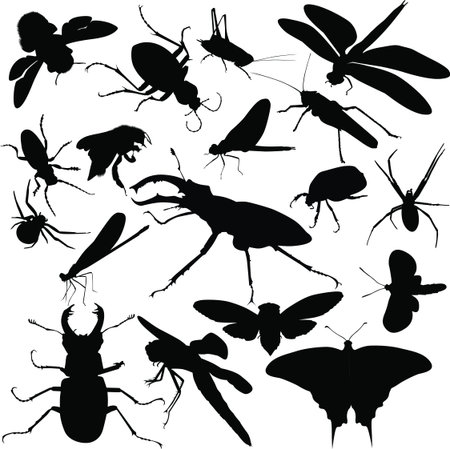 insects animalsのイラスト素材