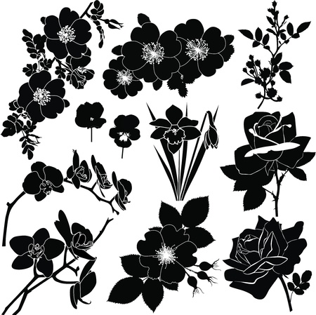 collection of colors isolated on a white background vectorのイラスト素材
