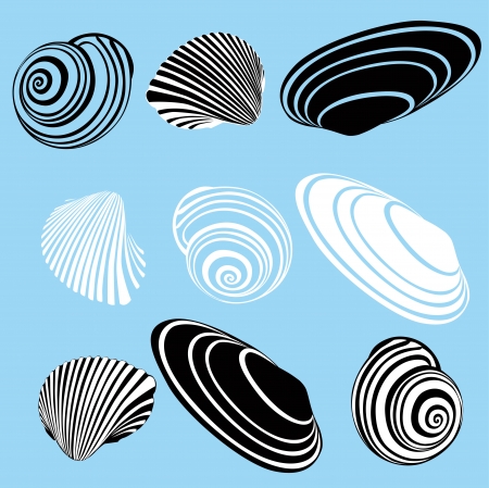 shell of a snail on a blue backgroundのイラスト素材