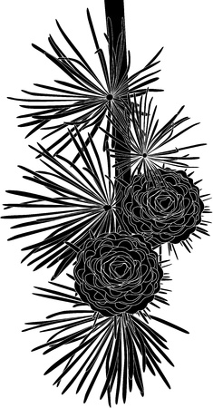 spruce twig Christmas trees from cones isolated on white backgroundのイラスト素材