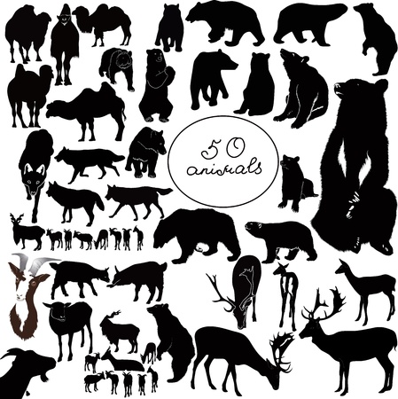 animals it is isolated on a white backgroundのイラスト素材