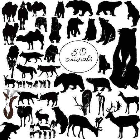 Illustration for animals it is isolated on a white background - Royalty Free Image