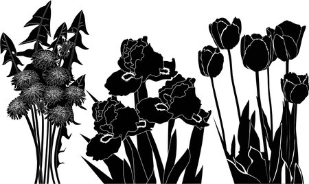 collection of flowers tulips irises dandelionsのイラスト素材
