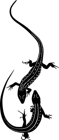 animal lizard  のイラスト素材