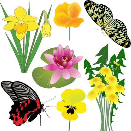 collection of flowers and butterfliesのイラスト素材