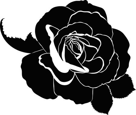 Roses flowers it is isolated a holiday のイラスト素材