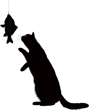 cat and fish isolated on white backgroundのイラスト素材