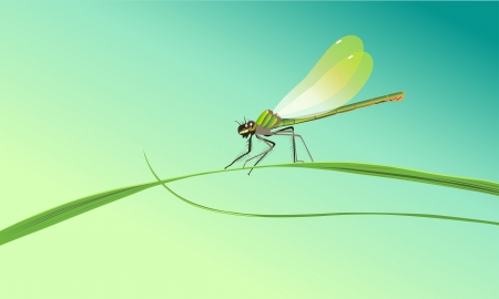 dragonfly sitting on a blade of grass against a blue skyのイラスト素材