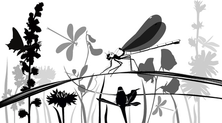 Dragonfly, butterflies, insects in the meadow with flowersのイラスト素材