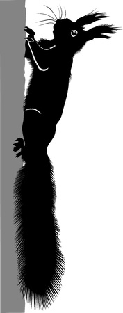 animal  squirrel  tree Christmas treeのイラスト素材