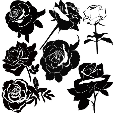 vector collection of rose flowers isolatedのイラスト素材