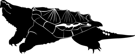    turtleのイラスト素材