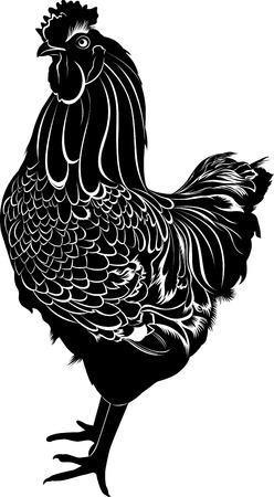 Cock birdのイラスト素材