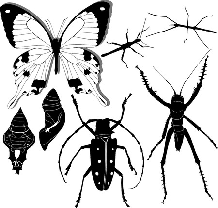 insectsのイラスト素材