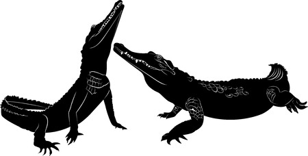 crocodileのイラスト素材
