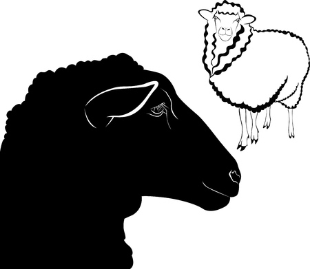 sheepのイラスト素材