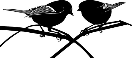 titmouseのイラスト素材