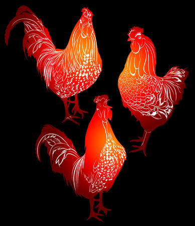 cock bird farmのイラスト素材